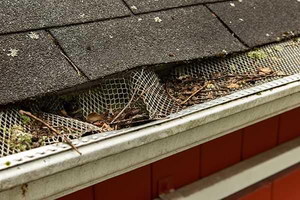 Georgia clogged gutters