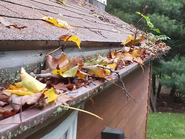 Northern Atlanta clogged gutters
